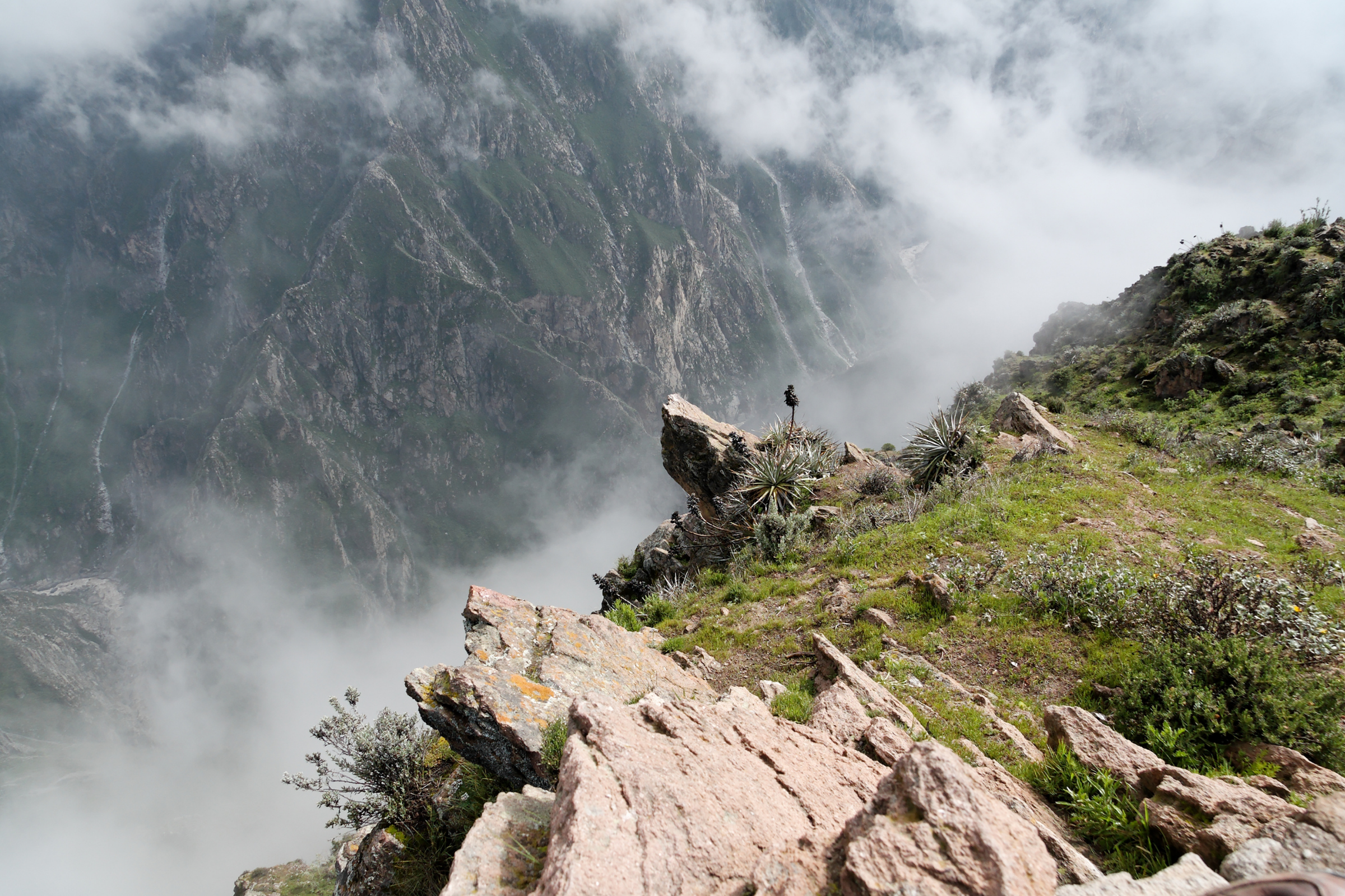 colca canyon (4).webp